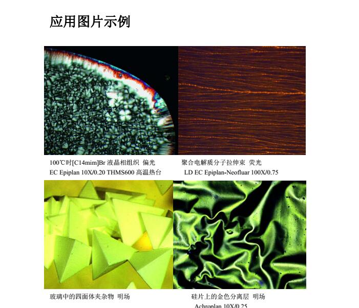 正置显微镜02.jpg